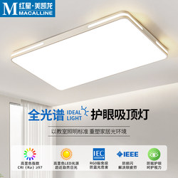 Hong Kong-Style Living Room Ceiling Light Led Ceiling Lamp Zhongshan Lighting Modern Minimalist Hollow Study Room Lamp Rectangular Hall