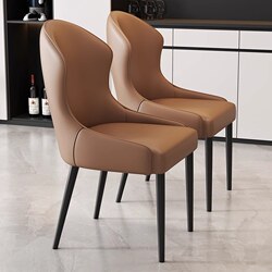 Luxurious Dining Chair for Home Use, Modern Minimalist Dining Room Chair with Comfortable Backrest, Iron Art Dining Table and Chair Set, Nordic Light Luxury Style