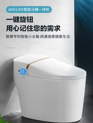 Arrow Brand Smart Toilet, All-In-One Fully Automatic Toilet for Small Apartments, No Water Pressure Limit, Model Akb1305