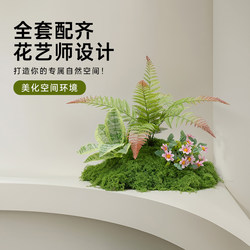 Simple Artificial Green Plant Landscaping for Interior Soft Decoration, Paired with Fake Moss for Display, Window Micro-Landscape Decoration, Artificial Flowers