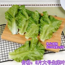 Artificial Lettuce Leaves Fake Vegetable Model Decoration Large Vegetable Leaves Cabbage Hot Pot Plating Decoration Washable Soft Premium