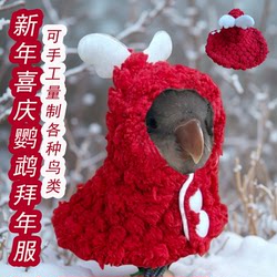 Angel parrot cloak bird with festive New Year's greetings dress
