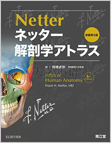 【ほぼ新品未使用】解剖学アトラス 第6版 3巻セット ネッター 解剖学アトラス 原書第6版 - メルカリ