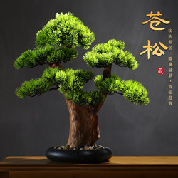 New Chinese-Style Artificial Welcoming Pine Bonsai Ornament, Indoor Green Plant Potted Tree for Living Room Entrance, High-Quality Realistic Pine Tree