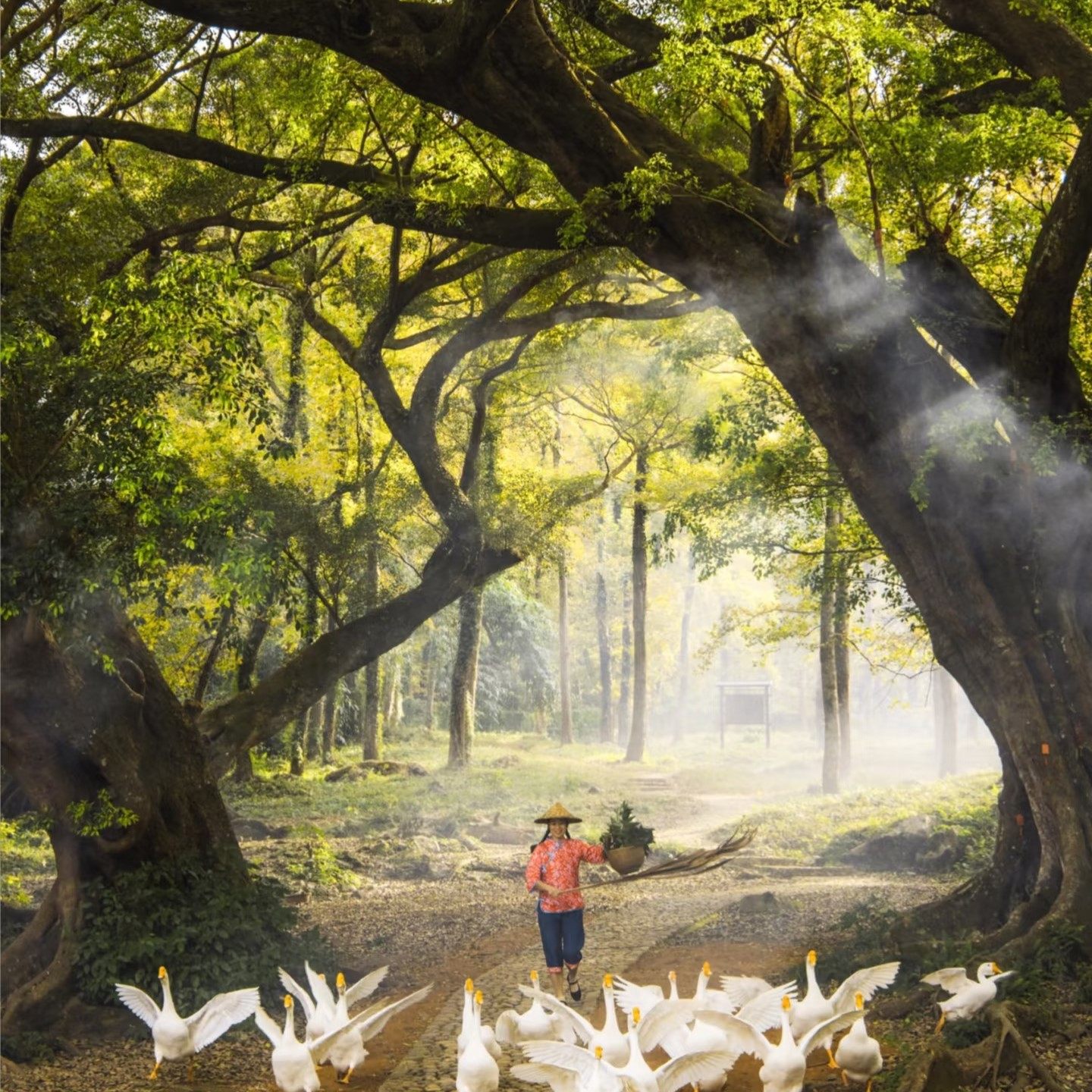 霞浦 杨家溪花竹村留云寺东壁村小皓滩涂 赏东壁落日12人团一日游