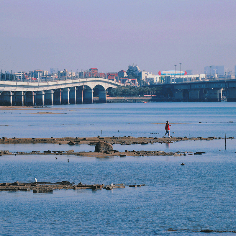 厦门集美学村南普陀海上小火车曾厝垵沙坡尾环岛路小包团一日游
