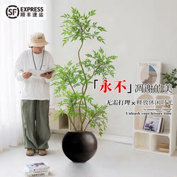 Artificial Green Plant Nandina for Living Room, Indoor Office Decoration, High-End Luxury Faux Large Green Plant Floor-Standing Ornament