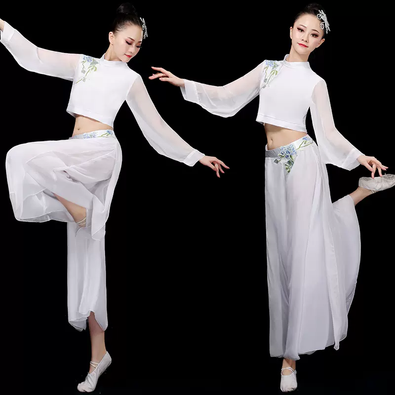 古典舞练功服女飘逸中国风现代艺考仙女独舞扇子舞蹈演出