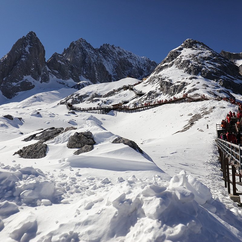 丽江玉龙雪山纯玩一日游私家小团 大索道门票牦牛坪云杉坪蓝月谷