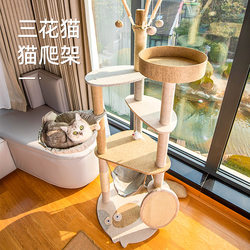 Cat Climbing Frame, Cat House, Cat Tree All-In-One, Small Size, Space-Saving, Large High-Rise Vertical Cat Scratching Board, Cat House, Cat Tree, Cat Shelf
