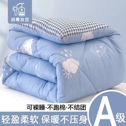 Winter Quilt, Thickened and Warm, Single Cotton Quilt, Suitable for All Seasons, Spring and Autumn Quilt, Student Dormitory Quilt Core, Children's Summer Quilt