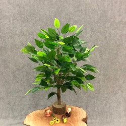Real new green potted plants, fake green plants, desktop ornaments, artificial plant decorations, wedding floral arrangements, soft furnishings, small banyan trees