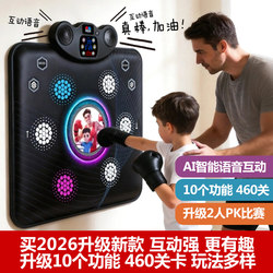 Hongtai Boxing Punching Bag Home Music Boxing Wall Target Equipment Training Sanda Adult Children Hanging Boxing Board