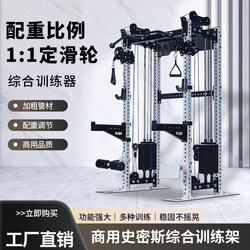 Rep Squat Rack Bench Press Rack Fixed Pulley Small Bird-Of-Prey Rack Home Fitness Equipment Commercial Comprehensive Training Rack