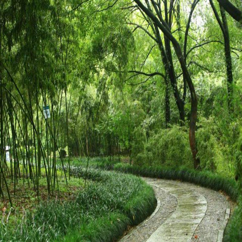 【甄选&畅游】石家庄正定古城隆兴寺3天自由行