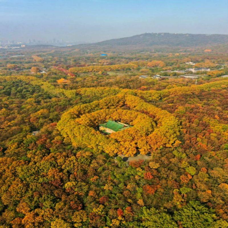 【甄选&畅游】南京中山陵夫子庙精选酒店3天自由行