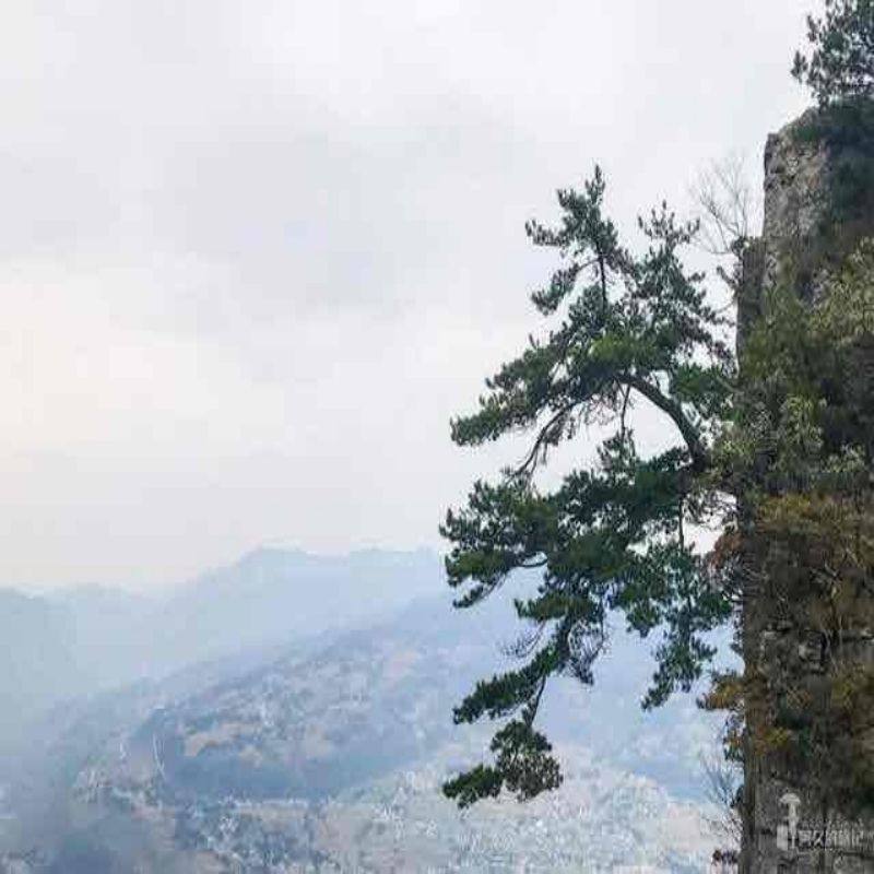 【甄选&畅游】河南洛阳洛邑古城老君山8日自由行