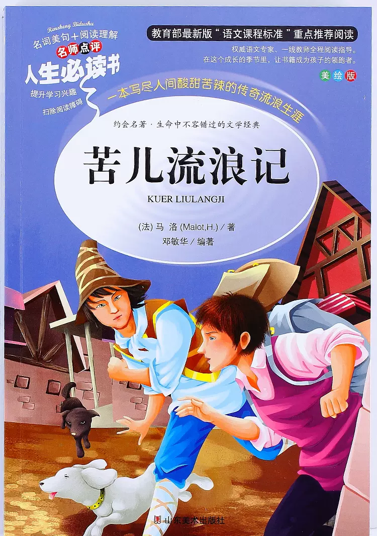 《苦儿流浪记》小学生课外阅读书籍