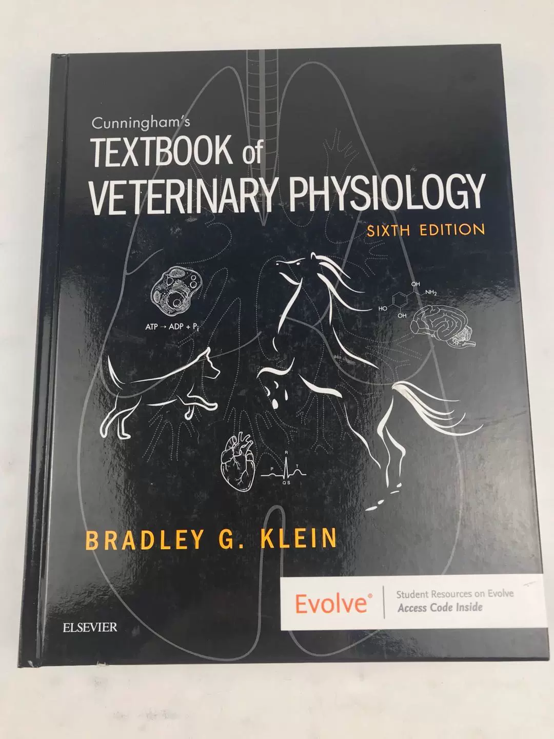 獣医生理学Veterinary Physiology 第二版 Textbook of Veterinary Physiology 第二版 41lnu2VT7-L._UF1000