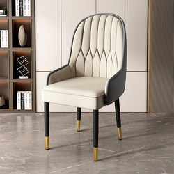 Dining Chair, Home Dining Table Chair, Light Luxury High-End Chair with Backrest, Balcony Chair, Mahjong Dressing Chair, Leisure Coffee Hotel Stool