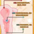 Trứng thủ dâm cho nam, cốc cho phụ nữ trưởng thành, ngực thật có thể đưa vào tử cung, dụng cụ thủ dâm trinh nữ, âm đạo giả, hình tượng biến thái am dao gia trong suot âm đạo giả gắn tường 