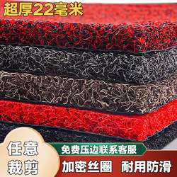 Extra Thick 22mm Entrance Door Mat, Wire Loop Mat with Nail Backing, Car Floor Mat, Hotel Door Carpet, Wear-Resistant, Commercial and Household Use