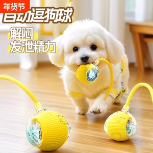 
Pet toys for kittens, smart cat and dog balls, self-entertainment and boredom relief for puppies, automatic dodging pet cat and dog toys