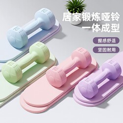 Dumbbells for Women, Fitness Equipment for Home Use, Belly Slimming Barbells, Kettlebells, Small Dumbbells for Children, Teenagers, and Women, 2kg Pair