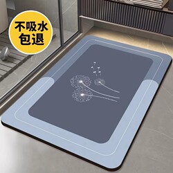 Diatomaceous Earth Absorbent Floor Mat for Bathroom Entrance, Non-Slip Foot Mat for Restroom and Toilet Carpet