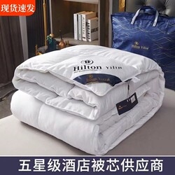 Five-Star Hotel Feather Duvet, Air-Conditioned Quilt, Thickened for All Seasons, Warm Winter Quilt Core, Feather Silk Cotton, White Goose down Quilt