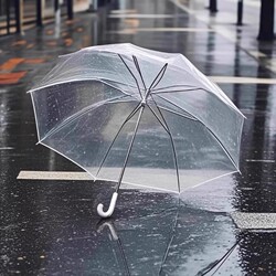 Transparent Umbrella with Long Handle, Manual, High Aesthetic Value, 8 Ribs, Korean Style, Instagram-Style Transparent Umbrella for Students, Popular for Photo Shoots
