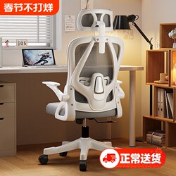 Computer Ergonomic Chair, Comfortable for Long Sitting, Home Use, Office Chair with Backrest, Student Study, E-Sports, Comfortable Swivel Chair