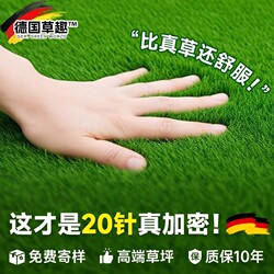 Simulated Lawn Carpet, Artificial Green Outdoor Plastic Fake Turf, Decorative Matting for Ground Layout, Courtyard, Pets