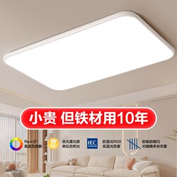 Hall Main Light 2025 New Model Led Main Bedroom Dining Room Ultra-Bright Living Room Ceiling Light Rectangular Household Full Spectrum