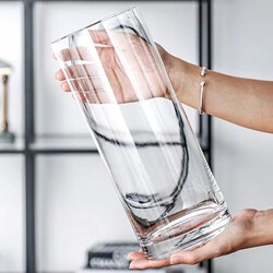Thickened Glass Vase Ornament for Living Room, Creative Flower Arrangement, Specially Designed for Snow Willow and Lucky Bamboo, Transparent Art Piece for Entryway