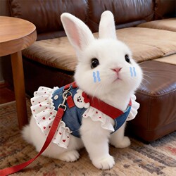 Rabbit Chest Harness Denim Leash Skirt for Spring and Summer, Cute Anti-Shedding, Can Be Used for Walking, Casual Clothes for Dwarf Rabbits with Safety Rope