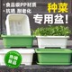 Special box for growing vegetables, flower pot, vegetable pot, plastic balcony, rectangular plastic household vegetable planting pot, vegetable planting tool