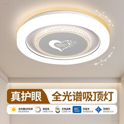 Master Bedroom Ceiling Light, Living Room Pendant Light, Complete Collection of 2025 New Modern Minimalist and Elegant Zhongshan Lighting Fixtures