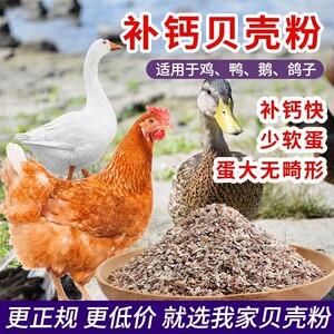 High calcium shell powder feed for chickens, ducks, geese, pigeons and quails to promote calcium absorption premix additive for breeding poultry