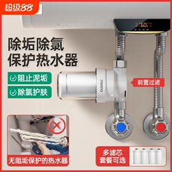 Electric Water Heater Pre-Filter Water Purifier Household Showerhead Washing Machine Toilet Tap Water Inlet Purifier