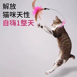 Cat Teaser Toy for Self-Entertainment, Boredom Relief, and Energy Consumption; Automatic Feather Collar Cat Toy, Bite-Resistant