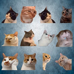 Stickers for Luggage, Funny Car Decals, Creative and Personalized Cute Memes, Meme Cat Expressions, Waterproof Car Body Animal Decals