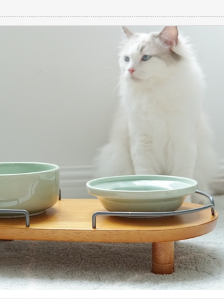  日本原装进口Aukatz猫专用水碗