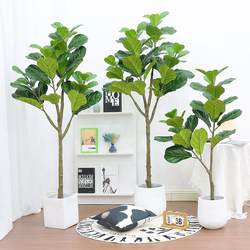 Large Nordic room for simulated plant potted plants