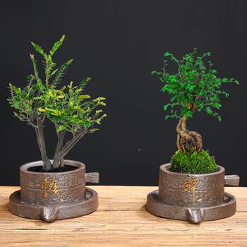 Polycin Boil Simple Ceramics Pot Rough Pottery Pot Home Horticultural Plactic Potten Potted Ge Kiln Water Swing