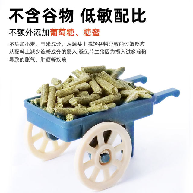 Cattle pet blueberry timothy grass guinea pig pig food guinea pig food guinea pig beauty hair