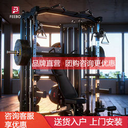 Feebo Multi-Functional Gantry Commercial Smith Machine Small Bird-Of-Prey Bench Press Squat Rack Comprehensive Training Device