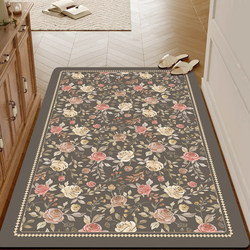Entrance door mat, floor mat, modern entrance door, kitchen anti-slip mat, household diatom mud mat, carpet entrance foot mat