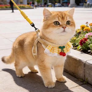 
Cat traction rope to prevent break-away, spring and summer kitten gold gradient special cat walking rope for going out, adjustable vest style