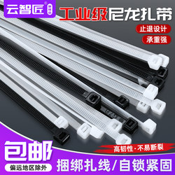 Nylon Plastic Cable Ties, Black and White, Self-Locking Buckle Cable Ties, Binding Rope, Strong Pull Force, Fixed Tie Straps, Cable Ties
